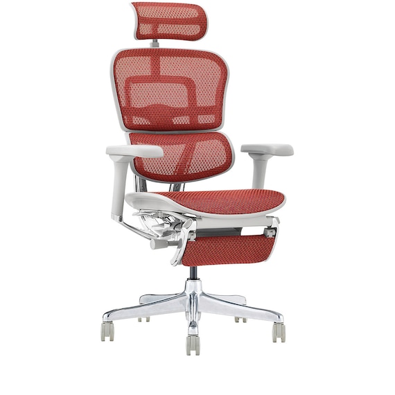 ワークチェア(エルゴヒューマン EHP2 LPLDR GY/RD) 2枚目画像