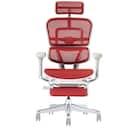 ワークチェア(エルゴヒューマン EHP2 LPLDR GY/RD) 3枚目画像