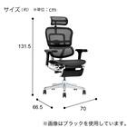 ワークチェア(エルゴヒューマン EHP2 LPLDR GY/RD) 4枚目画像