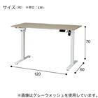 電動デスク(UP009 1260 WW/WH) 16枚目画像