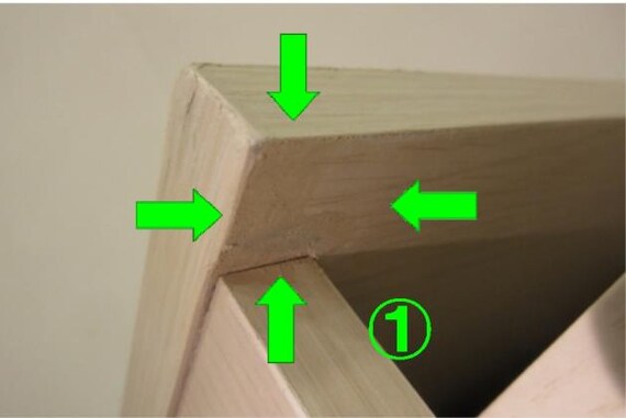 ﾜｺﾞﾝ DL02 WW/PU P 11枚目画像