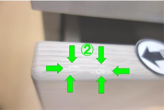 ﾜｺﾞﾝ DL02 WW/PU P 8枚目画像