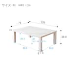 大理石調の軽量リビングこたつ(LM01 105 WH) 17枚目画像