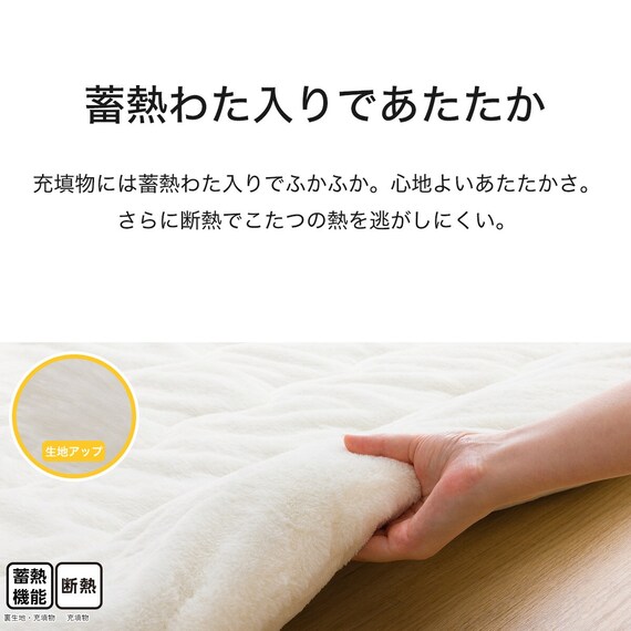 長方形リビングこたつ + 掛布団セット (LS01 8060 WW/RB2510 正方形 IV) 20枚目画像