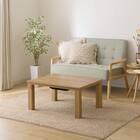 こたつ(LS01 8060 LBR) 16枚目画像