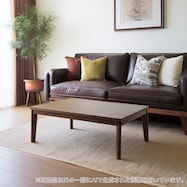 継脚付き長方形リビングこたつ(WW01)