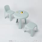 ガーデンチェア(FP01 GR) 9枚目画像