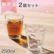 グラス 250mL 2Pセット (RO03)