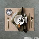 コースター レザー風 2枚セット(DGY2PCS QA24) 3枚目画像