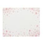 PVCランチョンマット(CB CSP LQ26) 1枚目画像