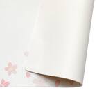 PVCランチョンマット(CB CSP LQ26) 4枚目画像