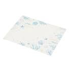 PVCランチョンマット(SHEL CSU LQ26) 1枚目画像