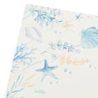 PVCランチョンマット(SHEL CSU LQ26) 3枚目画像