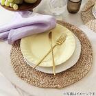 ネジリプレート(19.5cmイエロー DI602) 4枚目画像