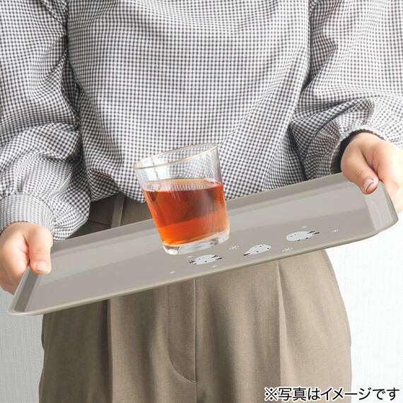 レンジOK　すべりにくいトレー(シマエナガ S DK509) 4枚目画像