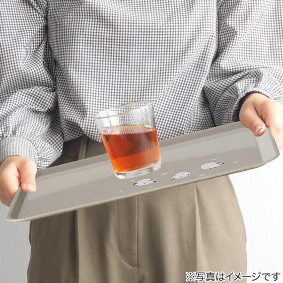 レンジOK すべりにくいトレー(シマエナガ S DK509) 4枚目画像