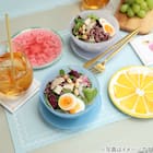 PVCランチョンマット(PALM NR04) 2枚目画像