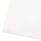 PVCランチョンマット(PALM NR04) 5枚目画像