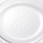 強化ガラスディーププレート(15cm WS04) 4枚目画像