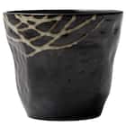 フリーカップ(MT25) 2枚目画像