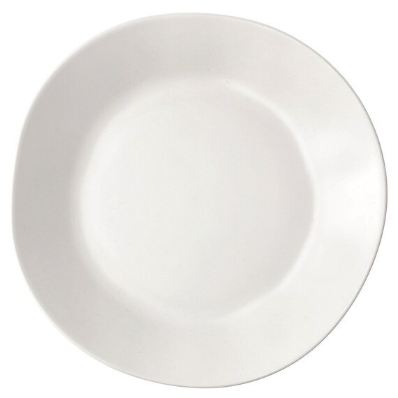 PETプレート21cm(BM01) 4枚目画像