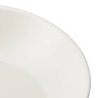 PETディーププレート23cm(BM01) 5枚目画像