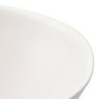 PETボウル15cm(BM01) 5枚目画像