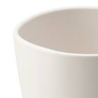 PETマグ540mL(BM01) 5枚目画像