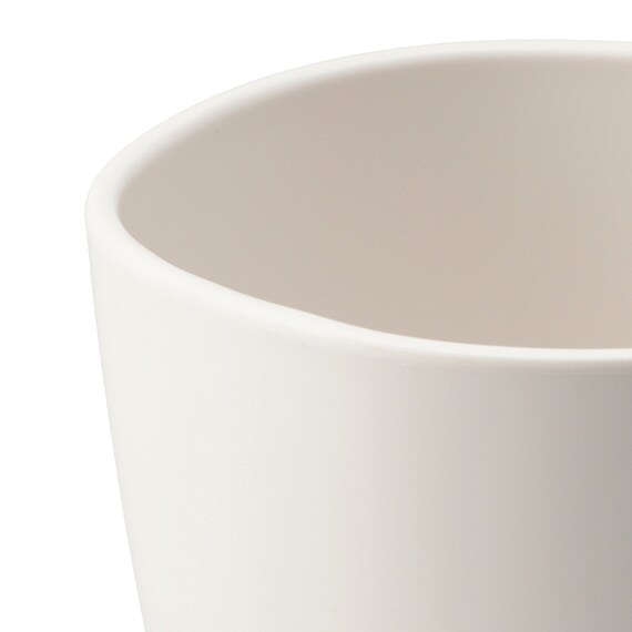 PETマグ540mL(BM01) 5枚目画像