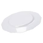 樹脂プレート19cm(4Pセット) 5枚目画像