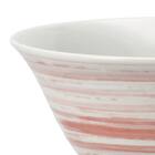 飯椀(ハサミヤキ カスリ レッド DI602) 6枚目画像