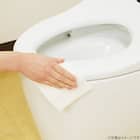 激落ちくんクエン酸シート(30枚) 4枚目画像