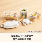 保冷剤付きフードボックス M(PL016) 2枚目画像