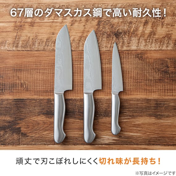 オールステンレス ダマスカス ペティナイフ(KY055) 2枚目画像