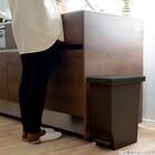 抗菌ペダルペール(20Lブラック) 2枚目画像