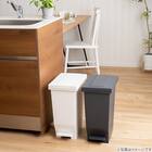 抗菌ペダルペール(20Lブラック) 3枚目画像