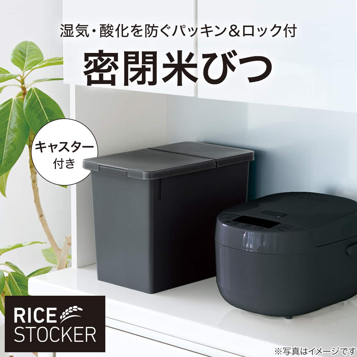 S密閉米びつ(12kg ブラック) | ニトリネット【公式】 家具・インテリア通販