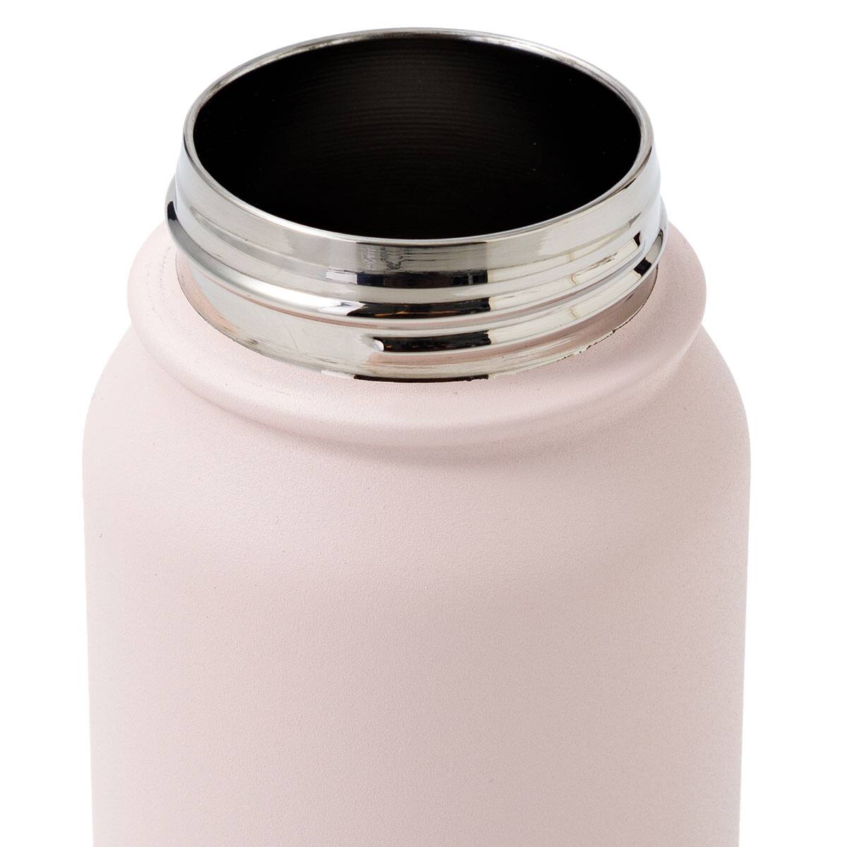 ステンレスハンドル付きボトル(530mL ローズ WB006) | ニトリネット