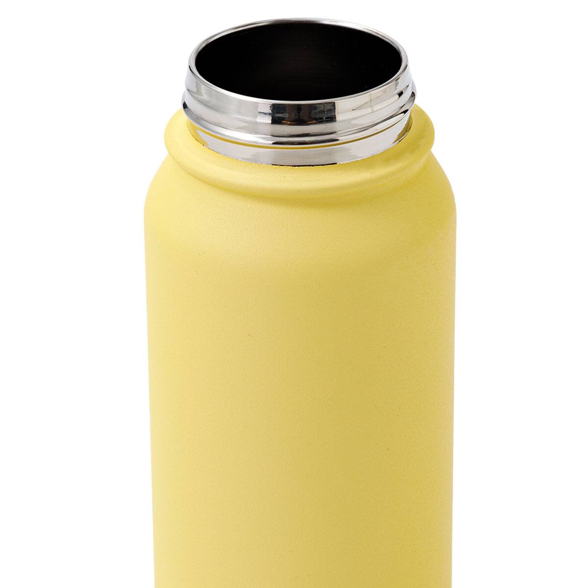 ステンレスハンドル付きボトル(700mL イエロー WB006) | ニトリネット