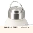 ステンレスハンドル付きボトル(1000mL グリーン WB006) 2枚目画像