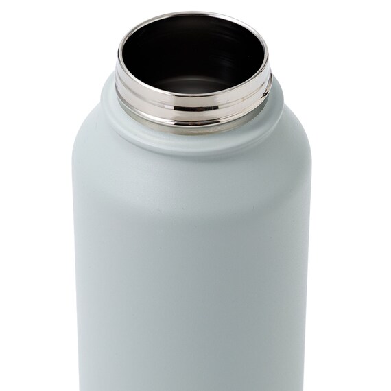 ステンレスハンドル付きボトル(1000mL グリーン WB006) 10枚目画像