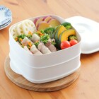 二品作れるレンジせいろ蒸し器 大 11枚目画像