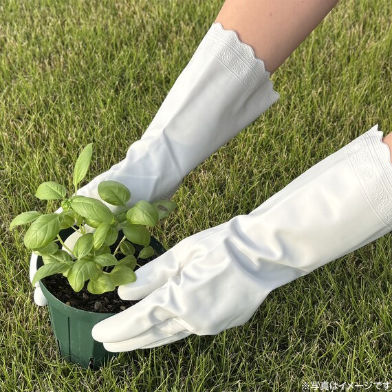 ビニール手袋 中厚手(M) 3枚目画像