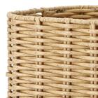 ラタン風バスケット(HN251108) 6枚目画像