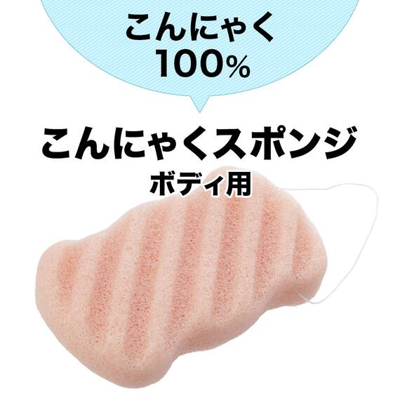 こんにゃくスポンジ ボディ用(RO HY01) 2枚目画像