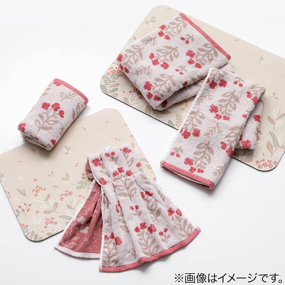 ドレスタオル(CWI GT25) 7枚目画像