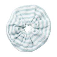 バスヘアシュシュ(CSU GT26)