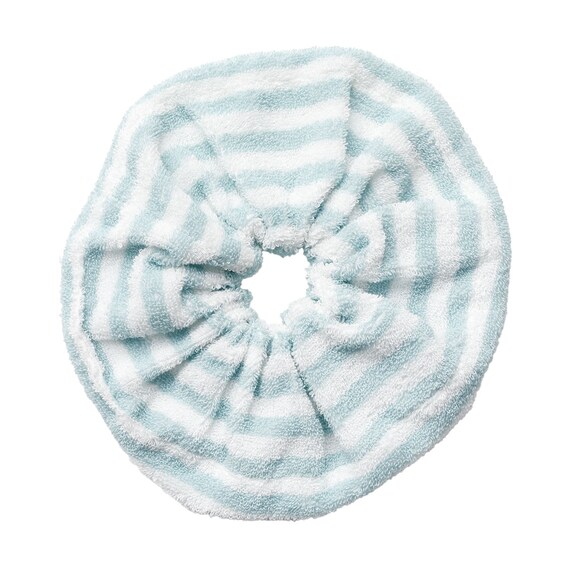 バスヘアシュシュ(CSU GT26) 1枚目画像