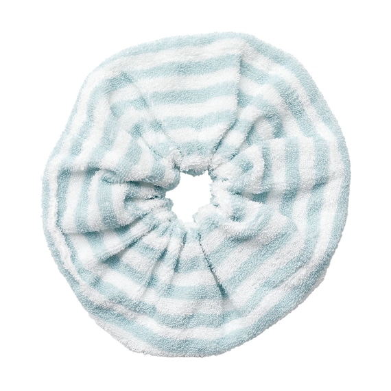 バスヘアシュシュ(CSU GT26) 1枚目画像