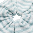 バスヘアシュシュ(CSU GT26) 2枚目画像